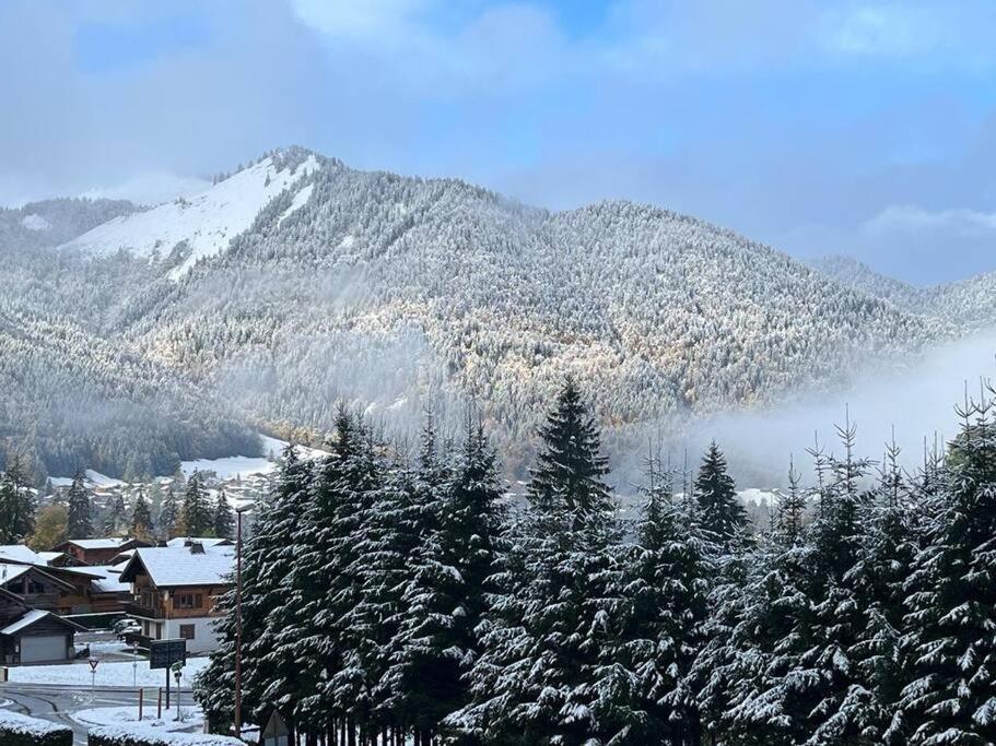 Les Chalets De Montriond B101 Buitenkant foto